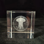 Display Crystal Cubes