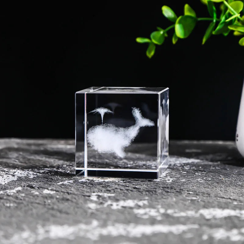 Display Crystal Cubes
