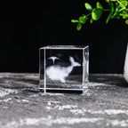 Display Crystal Cubes