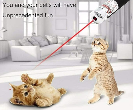 Laser Pointer Red Green Purple Three-color Laser Pointer Projection